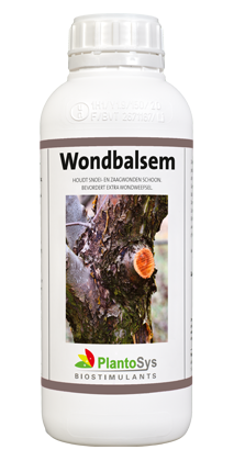 Wondbalsem 1ltr (fles)