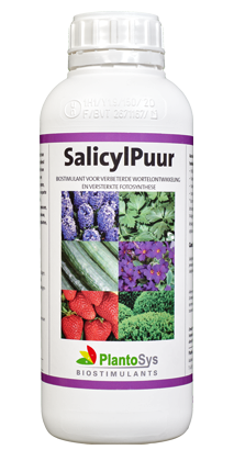 SalicylPuur 1ltr (fles)