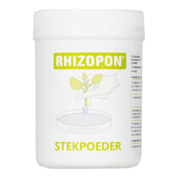 Chryzotop Groen 0,25% 80gr