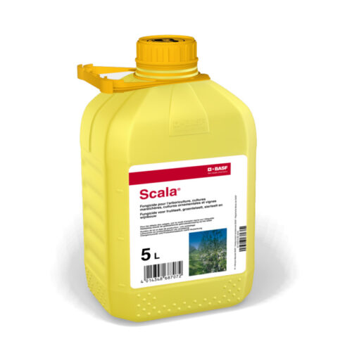 Scala 5ltr (can)
