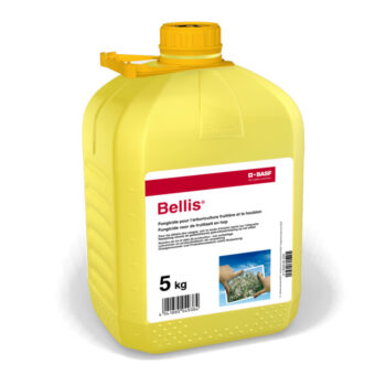 Bellis 5kg (can)