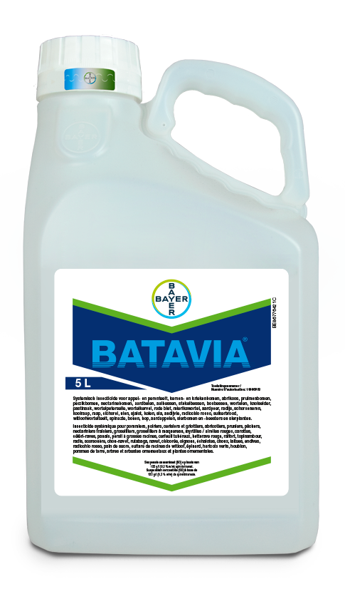 Batavia 5 liter can